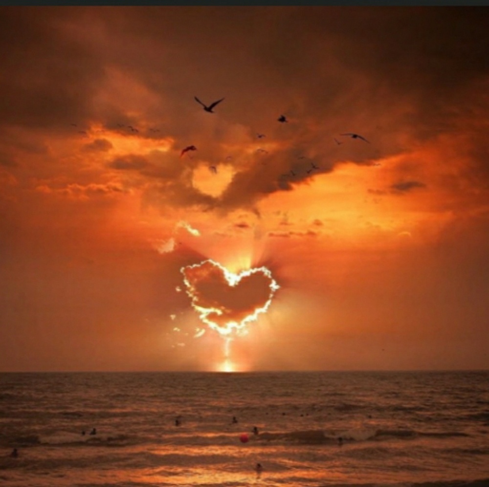 Meet your Posher, Montana